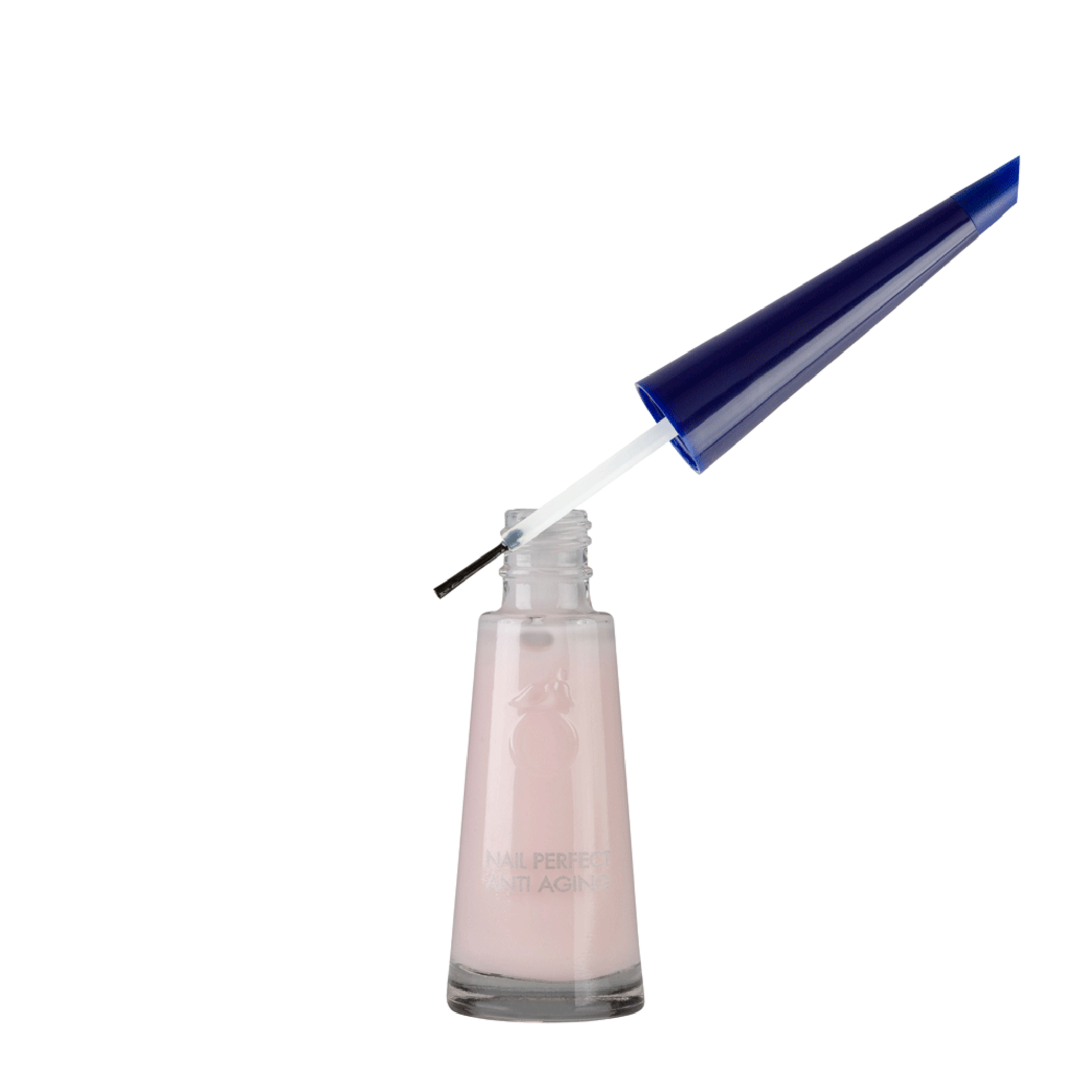 <tc>Nail Perfect Anti Aging </tc>