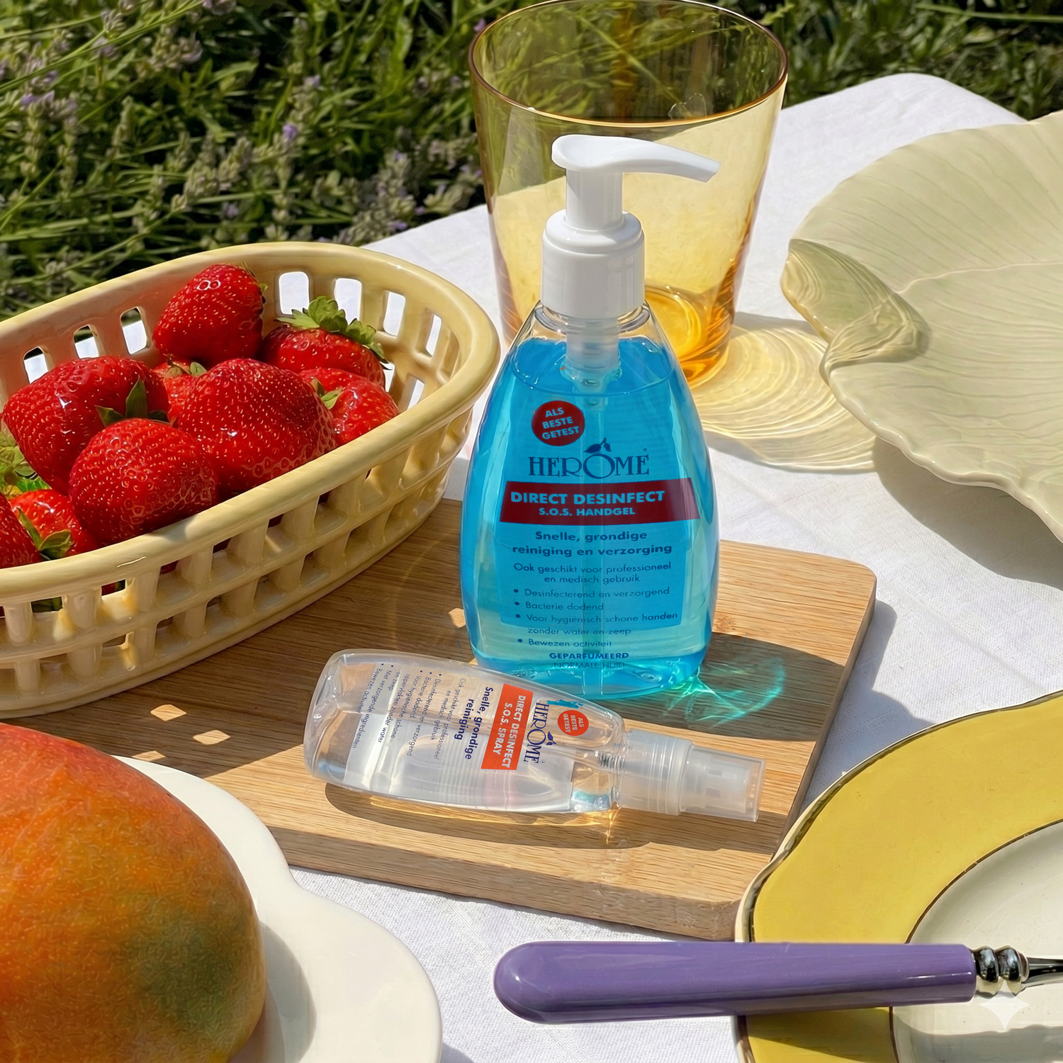 Direct Desinfect Travel Clean Kit